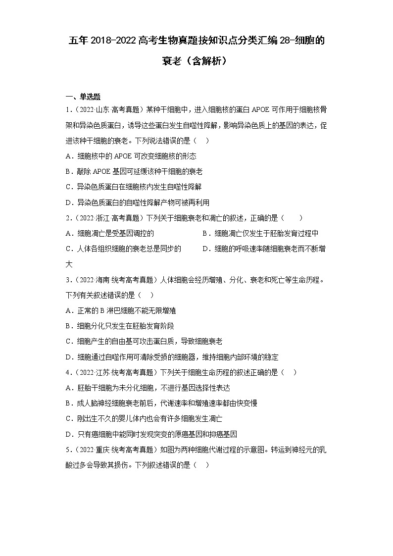 五年2018-2022高考生物真题按知识点分类汇编28-细胞的衰老（含解析）第1页