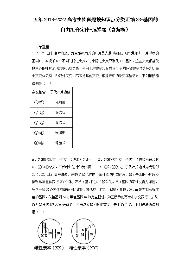 五年2018-2022高考生物真题按知识点分类汇编33-基因的自由组合定律-选择题（含解析）第1页