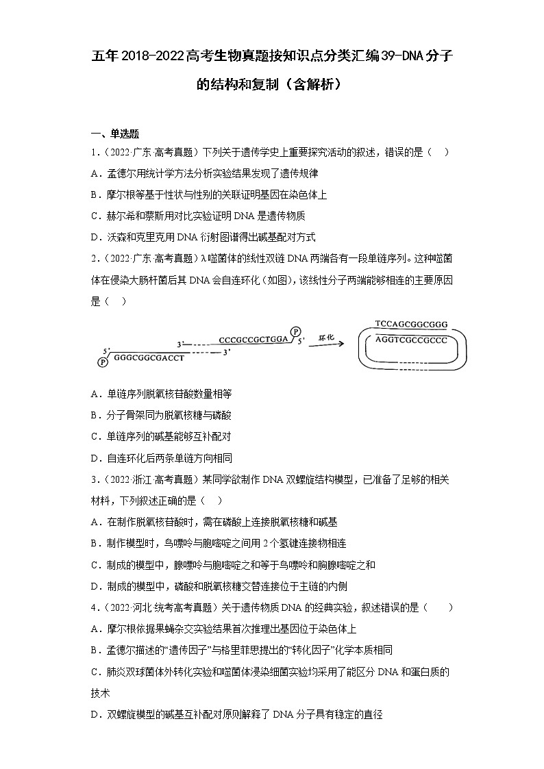 五年2018-2022高考生物真题按知识点分类汇编39-DNA分子的结构和复制（含解析）第1页