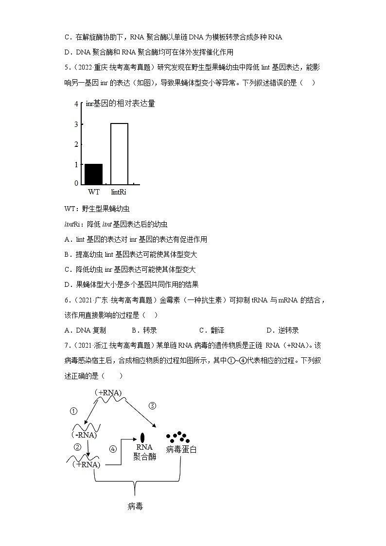 五年2018-2022高考生物真题按知识点分类汇编42-基因相对性状的控制（含解析）第2页