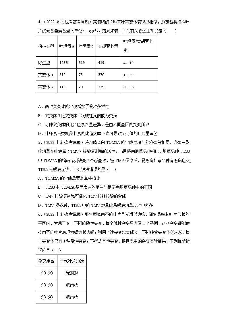 五年2018-2022高考生物真题按知识点分类汇编43-基因突变（含解析）第2页