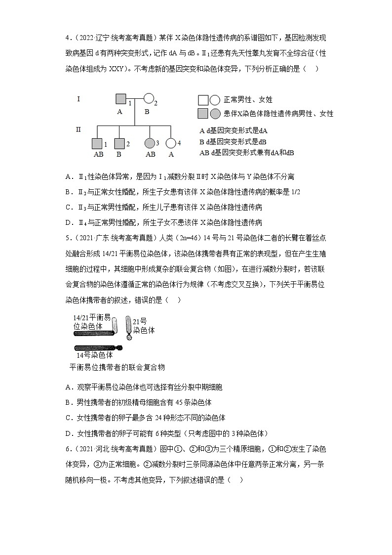 五年2018-2022高考生物真题按知识点分类汇编46-染色体变异（含解析）第2页
