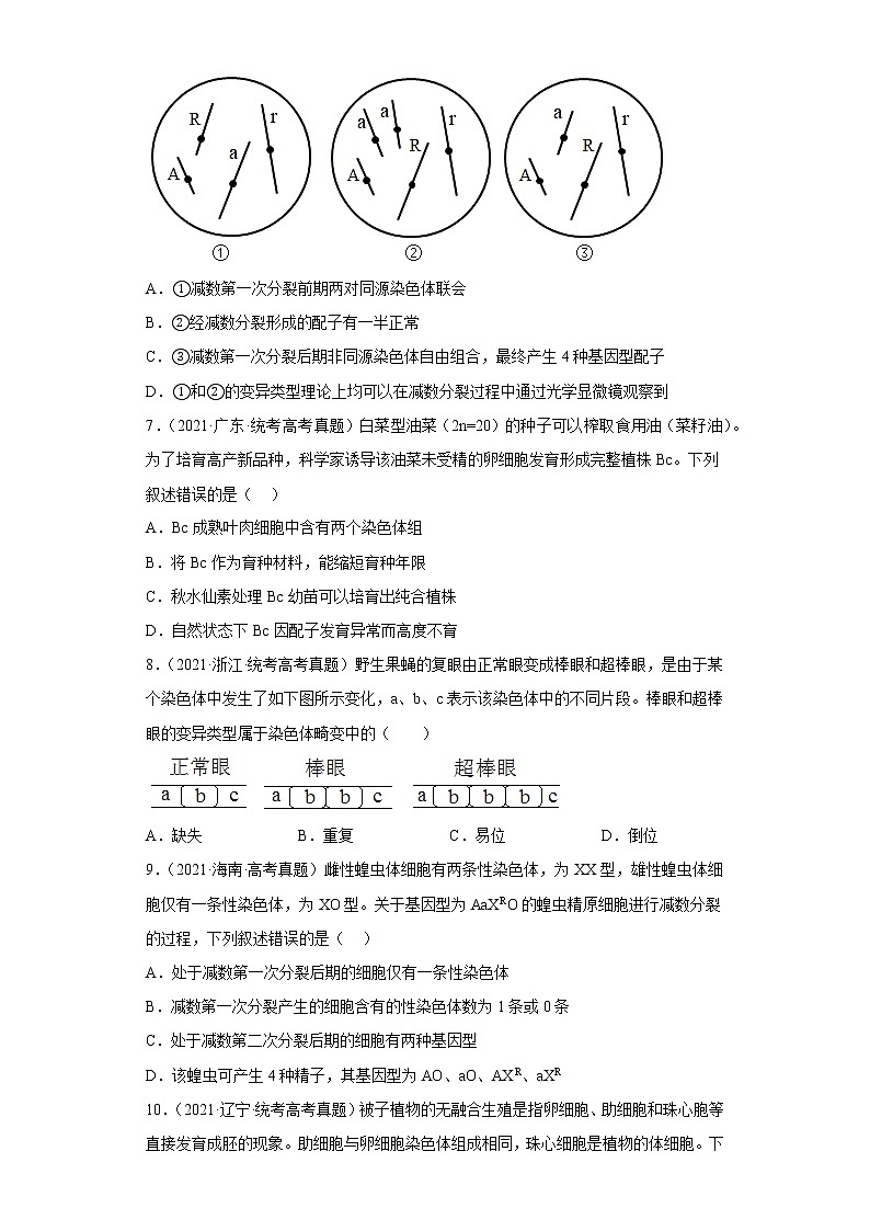 五年2018-2022高考生物真题按知识点分类汇编46-染色体变异（含解析）第3页