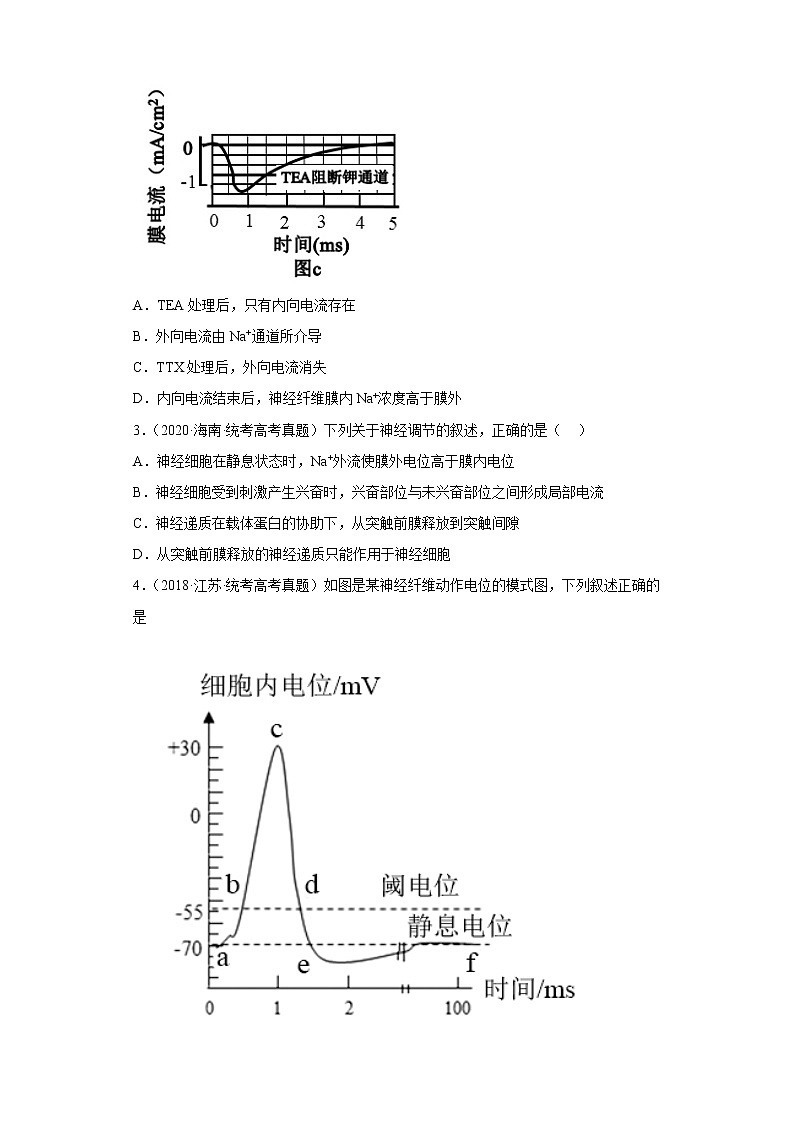 五年2018-2022高考生物真题按知识点分类汇编57-膜电位的变化及相关曲线、兴奋的传导和传递实验、药物对兴奋传导和传递的影响（含解析）第2页