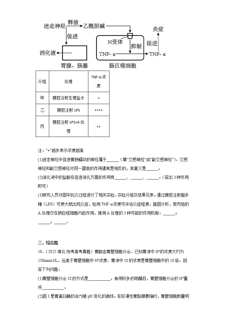 五年2018-2022高考生物真题按知识点分类汇编58-神经调节-神经系统的分级调节、人脑的高级功能（含解析）第3页