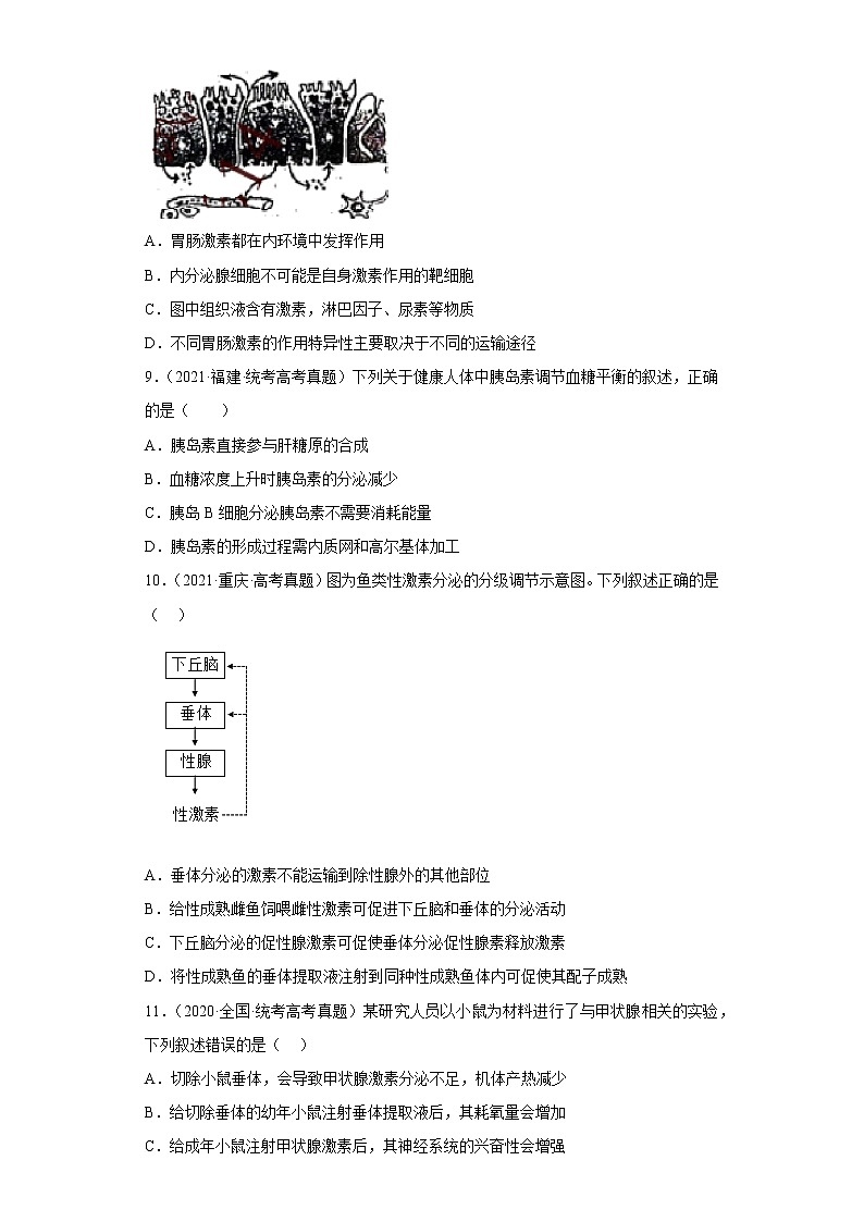 五年2018-2022高考生物真题按知识点分类汇编60-体液调节-激素调节的过程（含解析）第3页