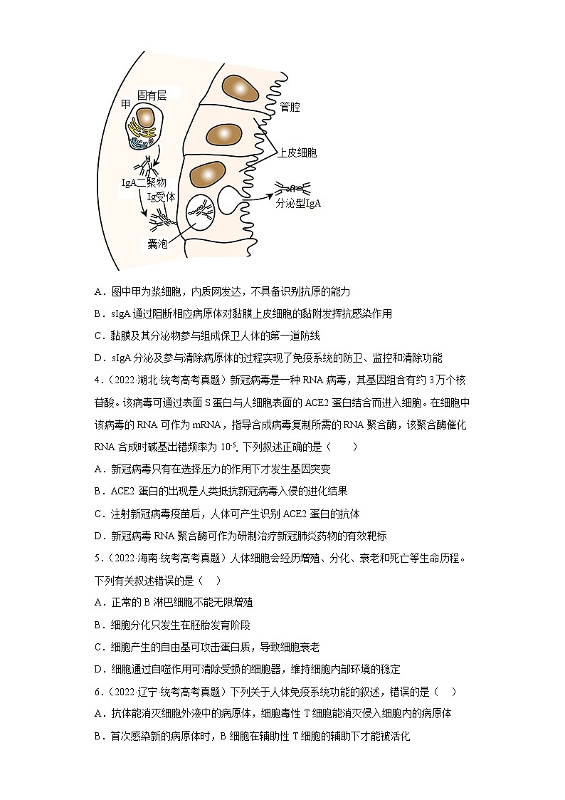 五年2018-2022高考生物真题按知识点分类汇编65-免疫调节-特异性免疫-体液免疫（含解析）第2页