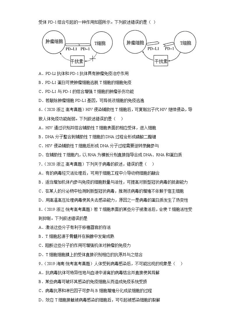 五年2018-2022高考生物真题按知识点分类汇编66-免疫调节-特异性免疫-细胞免疫（含解析）第2页