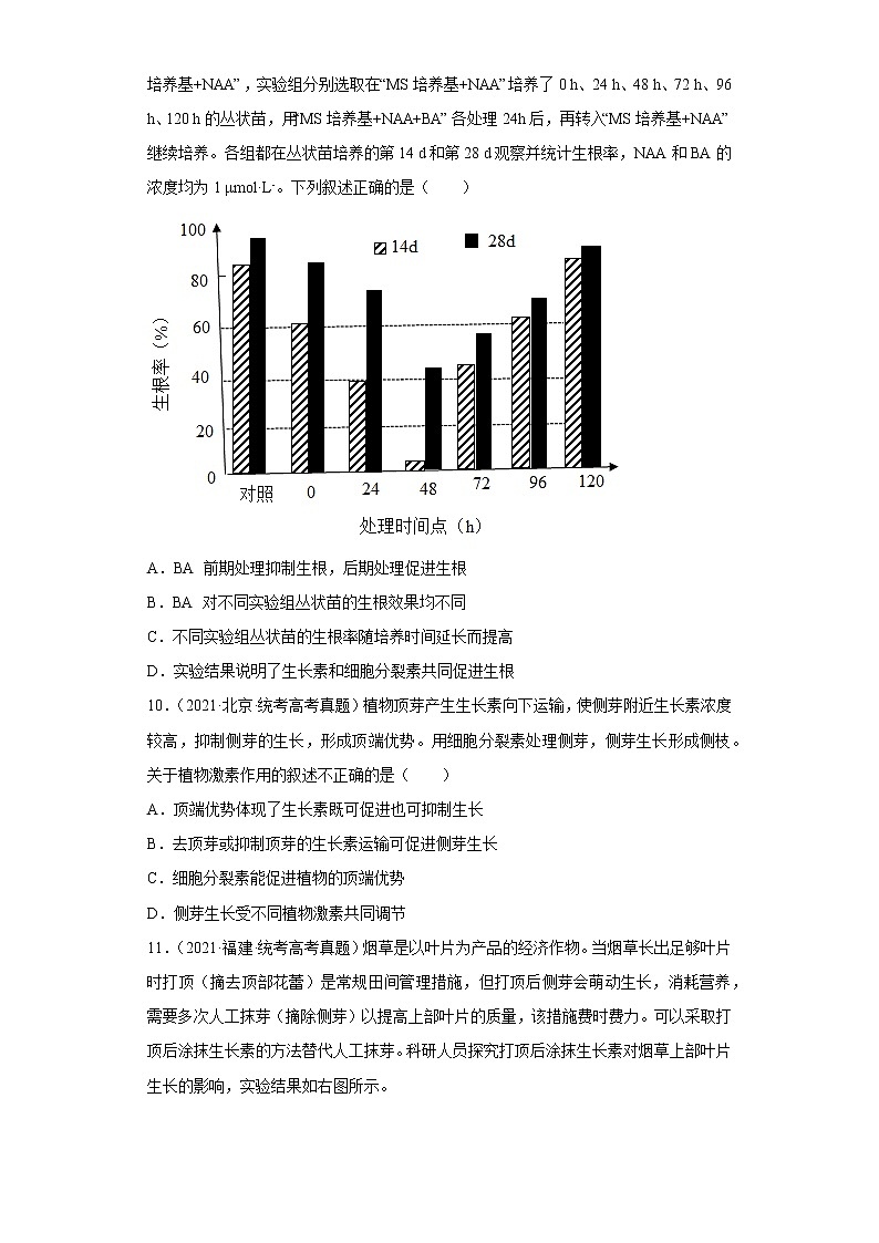 五年2018-2022高考生物真题按知识点分类汇编68-植物生命活动的调节-植物生长素（含解析）第3页