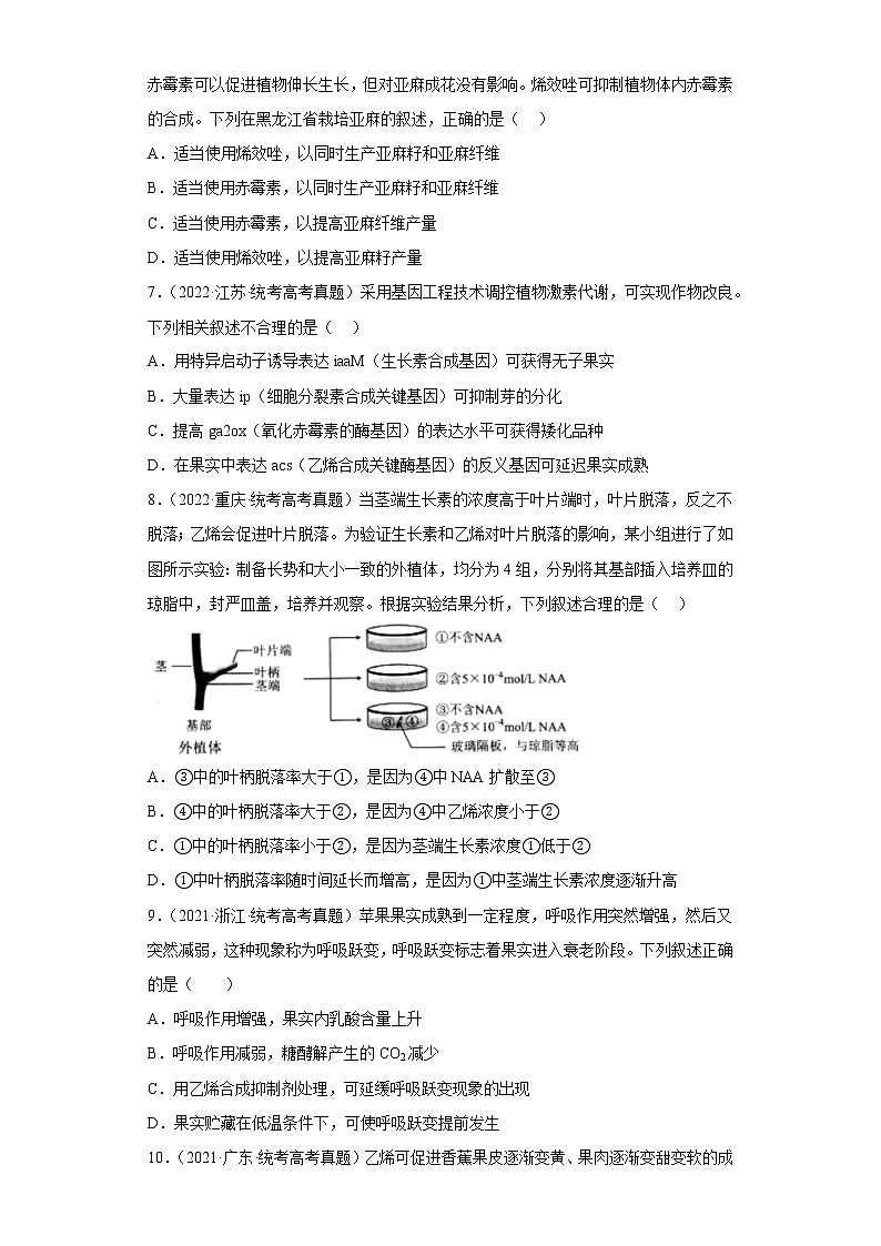 五年2018-2022高考生物真题按知识点分类汇编69-植物生命活动的调节-其他植物激素（含解析）第2页