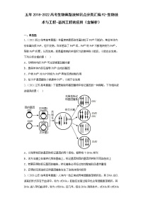 五年2018-2022高考生物真题按知识点分类汇编92-生物技术与工程-基因工程的应用（含解析）