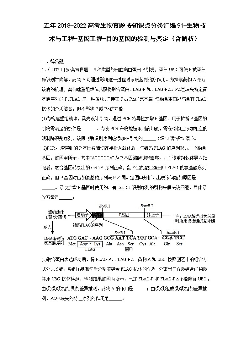 五年2018-2022高考生物真题按知识点分类汇编91-生物技术与工程-基因工程-目的基因的检测与鉴定（含解析）01