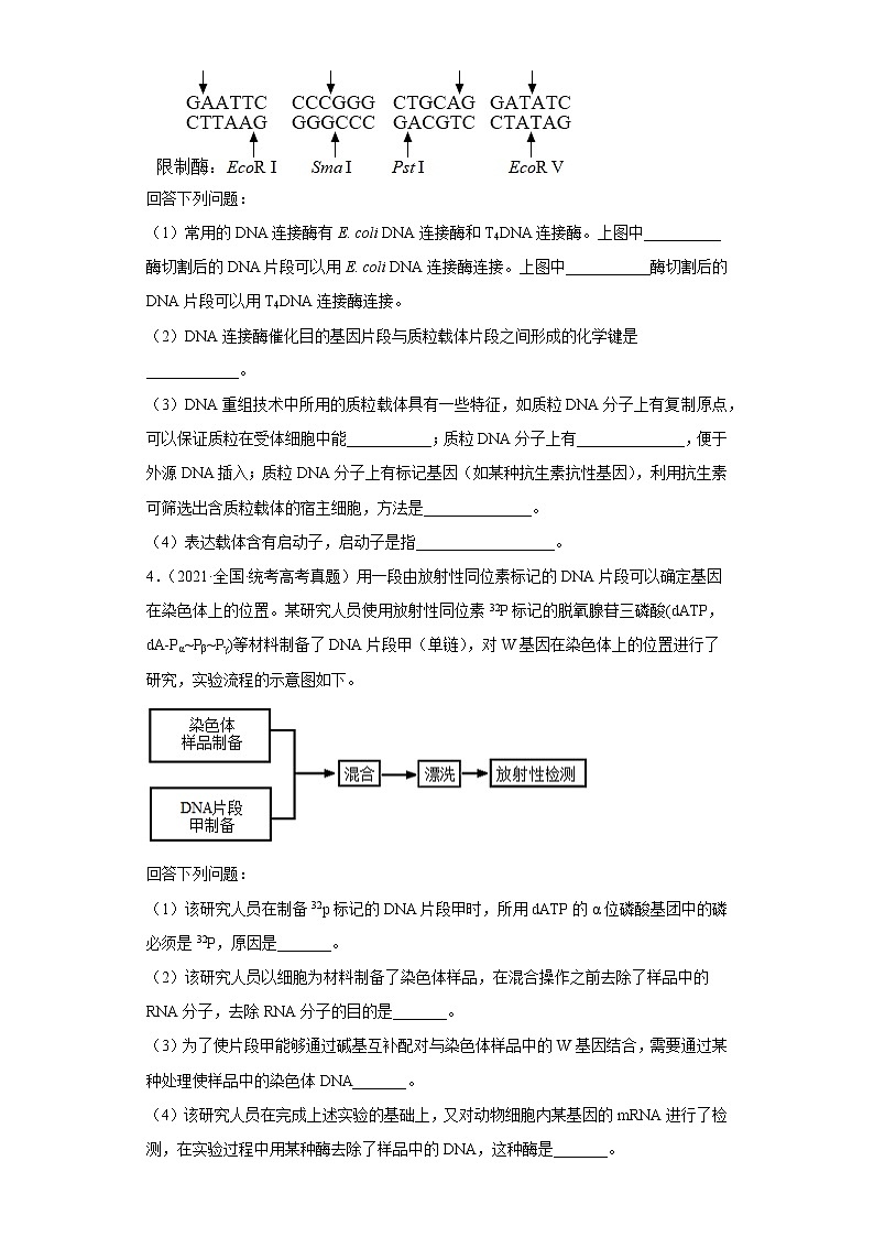 五年2018-2022高考生物真题按知识点分类汇编91-生物技术与工程-基因工程-目的基因的检测与鉴定（含解析）03