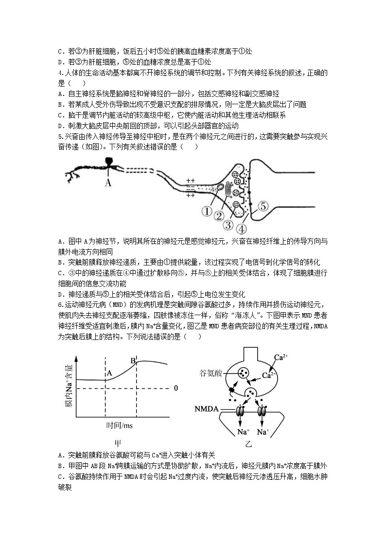 湖北省孝感市2022-2023学年高二生物上学期1月期末考试试题（Word版附解析）02