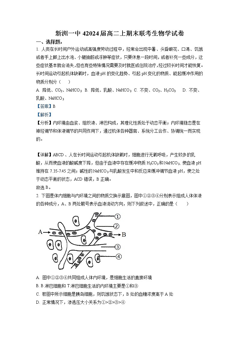湖北省武汉市新洲区一中2022-2023学年高二生物上学期末联考试题（Word版附解析）第1页