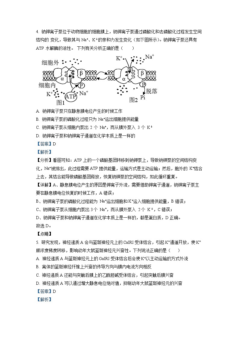 湖北省武汉市新洲区一中2022-2023学年高二生物上学期末联考试题（Word版附解析）第3页