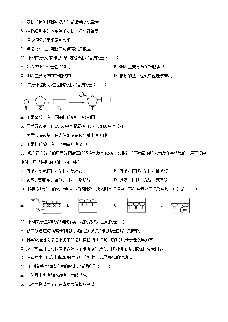 四川省凉山州冕宁中学校2022-2023学年高一12月月考生物试题无答案第3页
