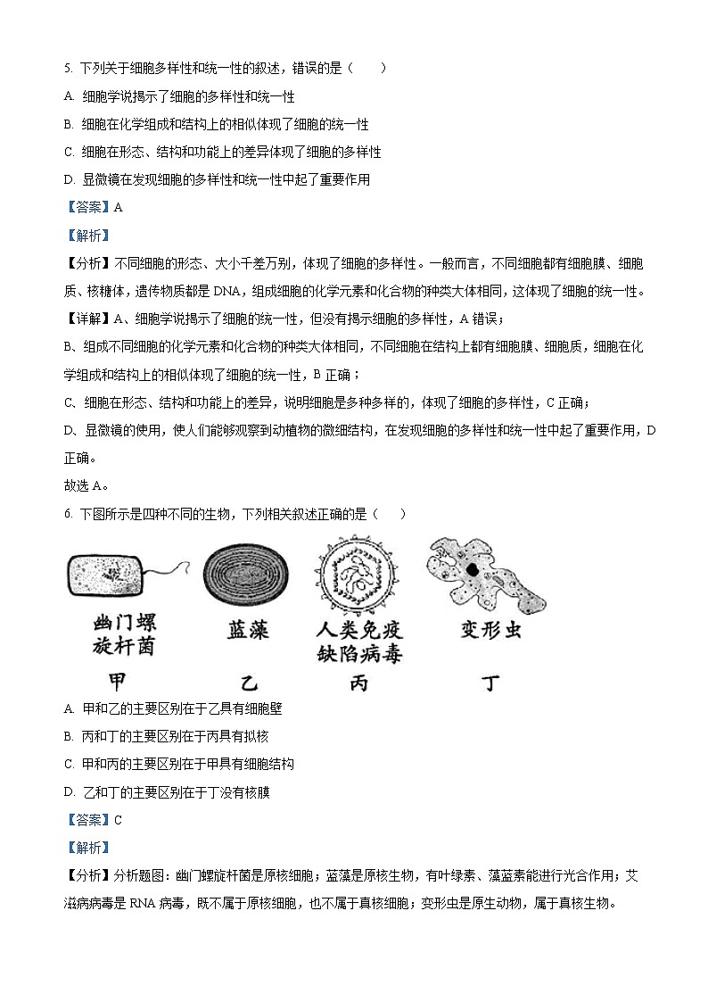 四川省凉山州冕宁中学校2022-2023学年高一12月月考生物试题含解析第3页
