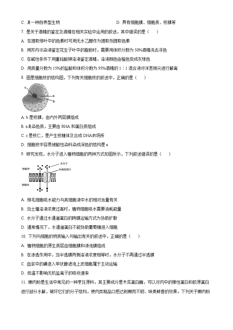 四川省泸州市泸县第四中学2022-2023学年高一上学期期末考试生物试题无答案第2页