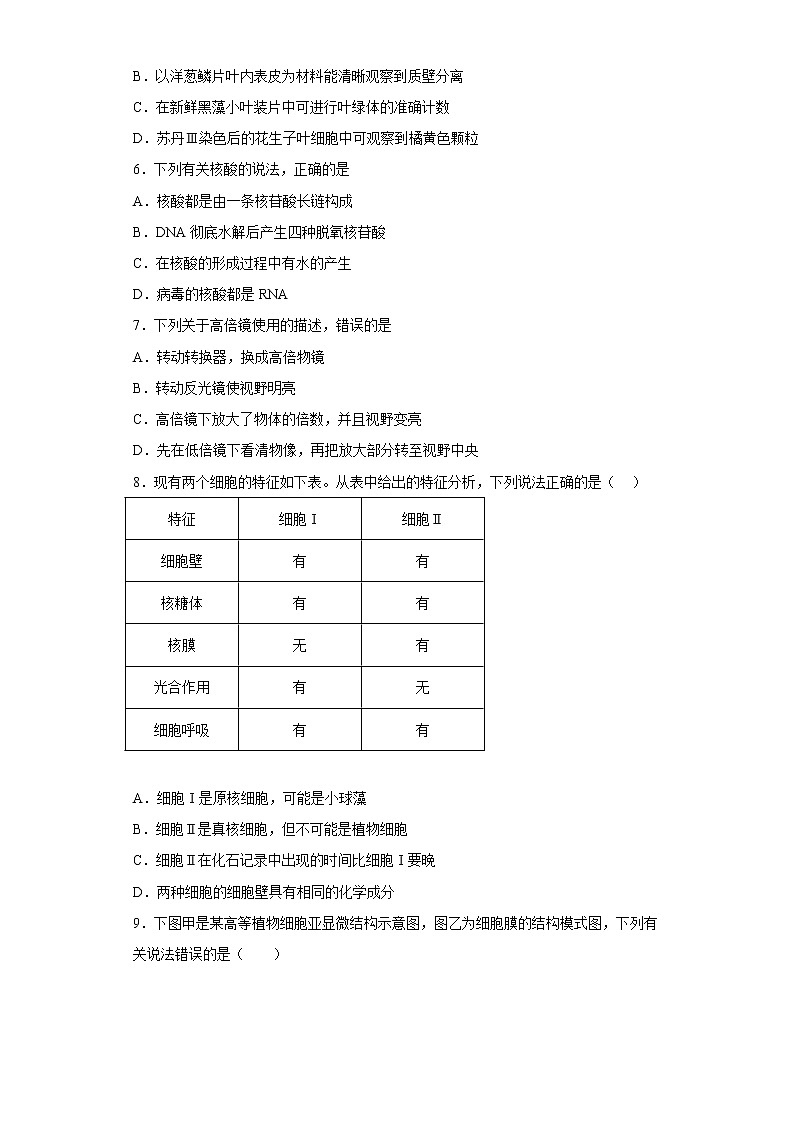 2023陕西省西北工业大学附中高一上学期1月期末生物试题含答案第2页