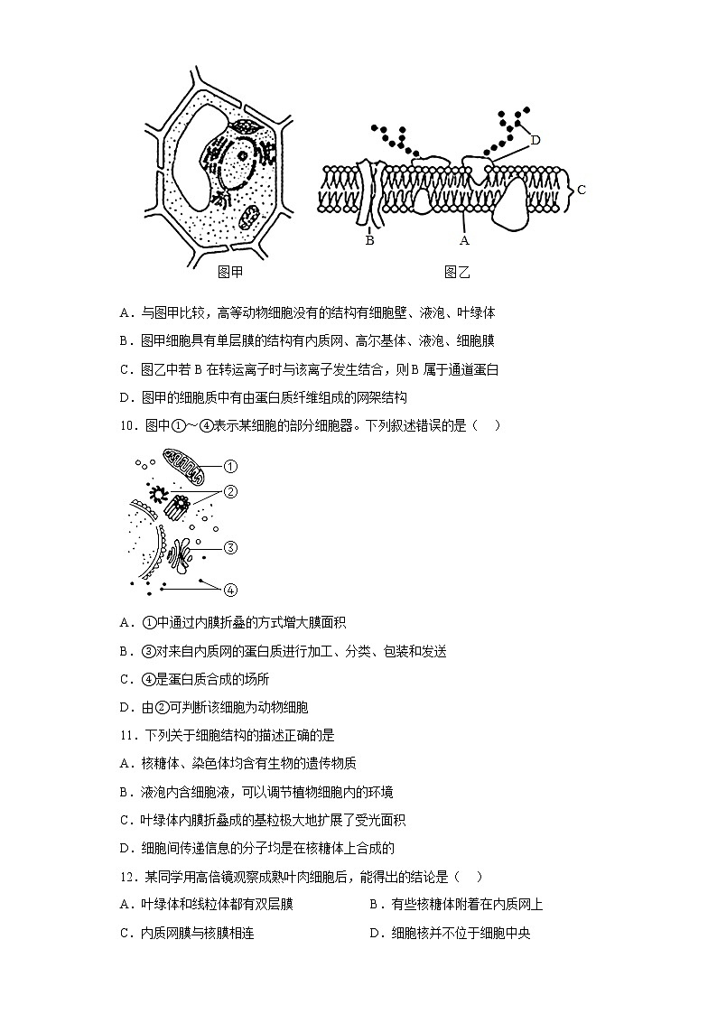 2023陕西省西北工业大学附中高一上学期1月期末生物试题含答案第3页