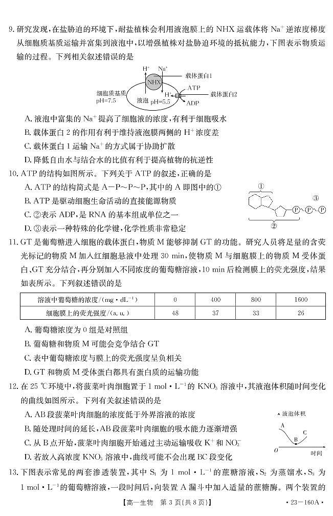 2023聊城冠县武训高级中学高一上学期12月月考（模拟选课走班调研）生物试题pdf版含答案03