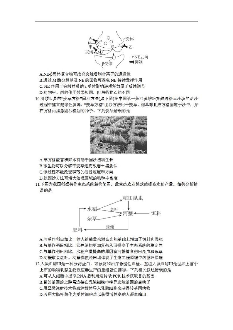北京市东城区2022-2023学年高三上学期期末考试生物试卷03