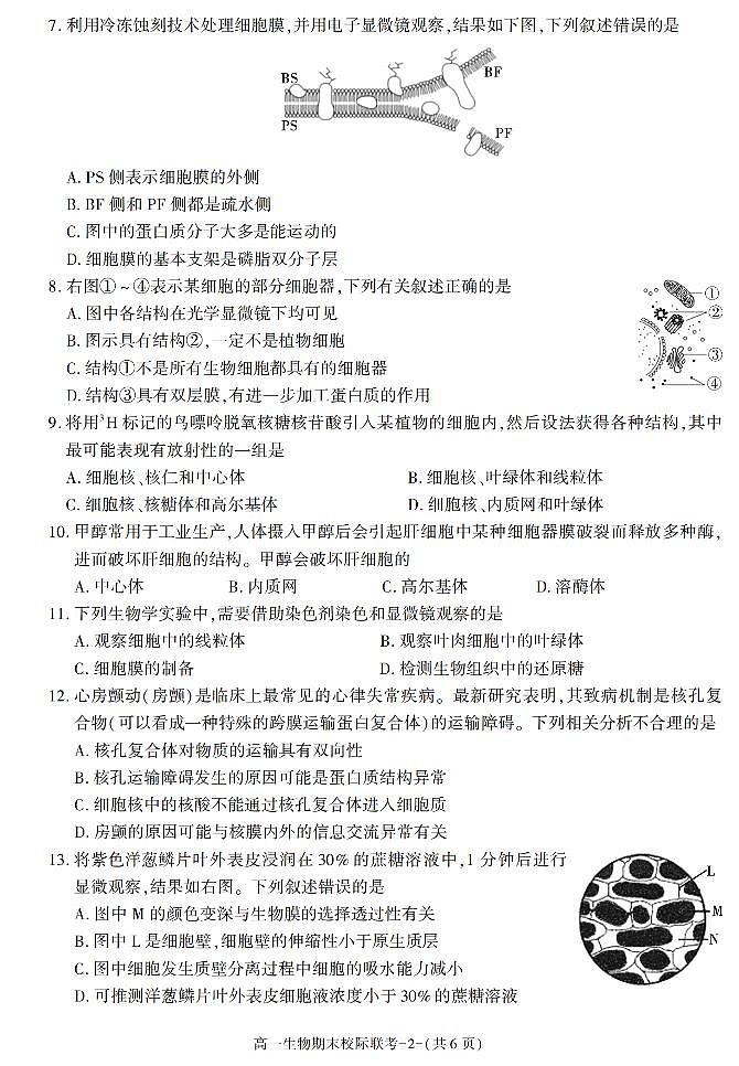 陕西省汉中市2021-2022学年高一上学期期末校际联考生物试题第2页