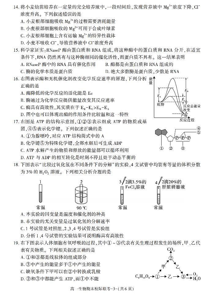 陕西省汉中市2021-2022学年高一上学期期末校际联考生物试题第3页