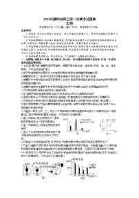 湖南省邵阳市2022-2023学年高三生物上学期一模试题（Word版附答案）