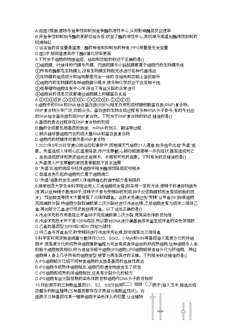 湖南省邵阳市2022-2023学年高三生物上学期一模试题（Word版附答案）第2页