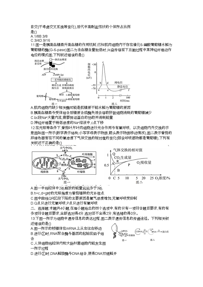 湖南省邵阳市2022-2023学年高三生物上学期一模试题（Word版附答案）第3页