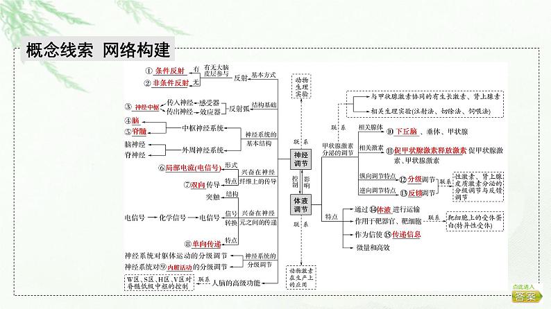 2023届高考生物二轮复习微专题1神经调节和体液调节课件第2页