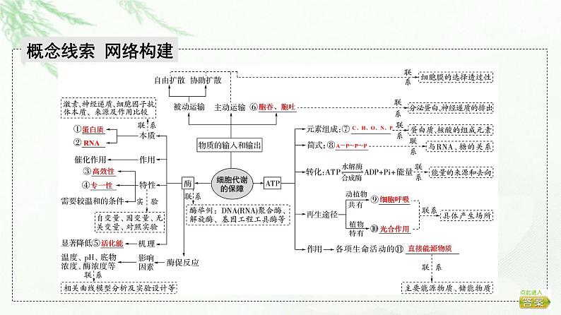 2023届高考生物二轮复习微专题1细胞代谢的保障课件第2页