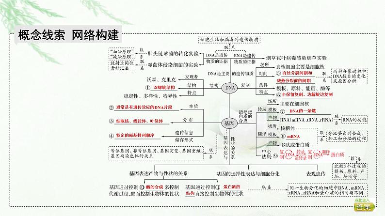 2023届高考生物二轮复习微专题1遗传的分子基础课件第2页