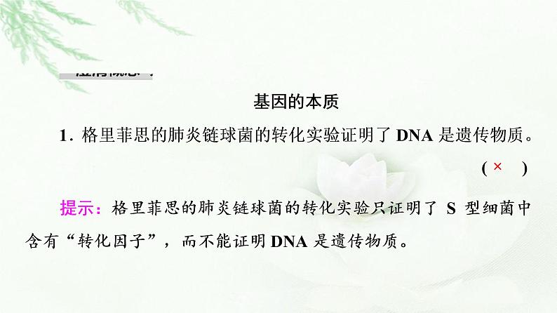 2023届高考生物二轮复习微专题1遗传的分子基础课件第3页