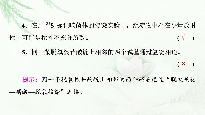 2023届高考生物二轮复习微专题1遗传的分子基础课件第6页