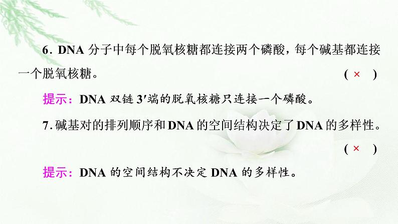 2023届高考生物二轮复习微专题1遗传的分子基础课件第7页