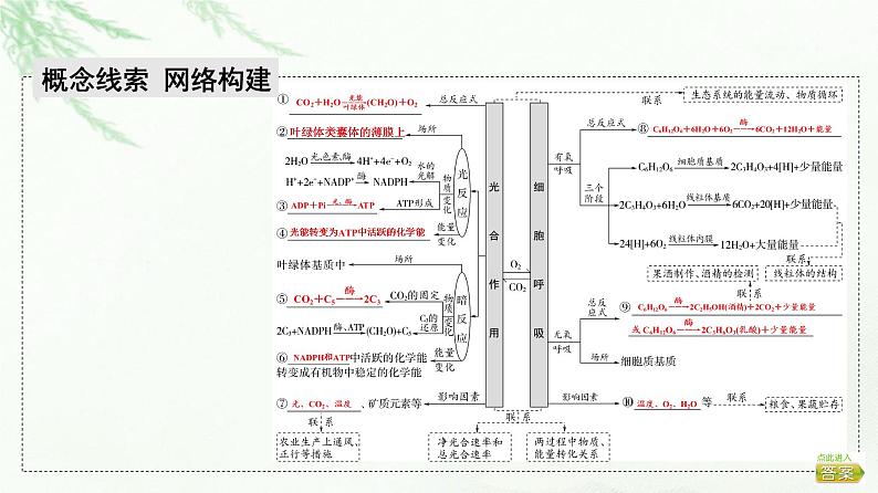 2023届高考生物二轮复习微专题2光合作用和细胞呼吸课件02