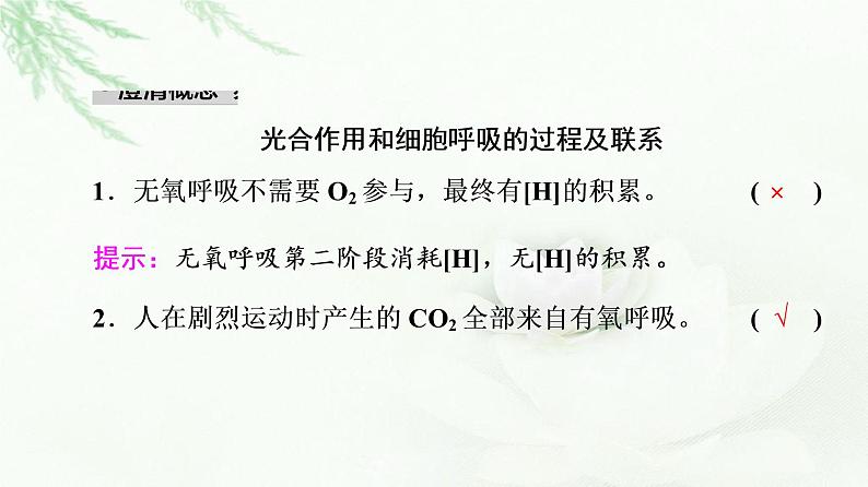 2023届高考生物二轮复习微专题2光合作用和细胞呼吸课件03