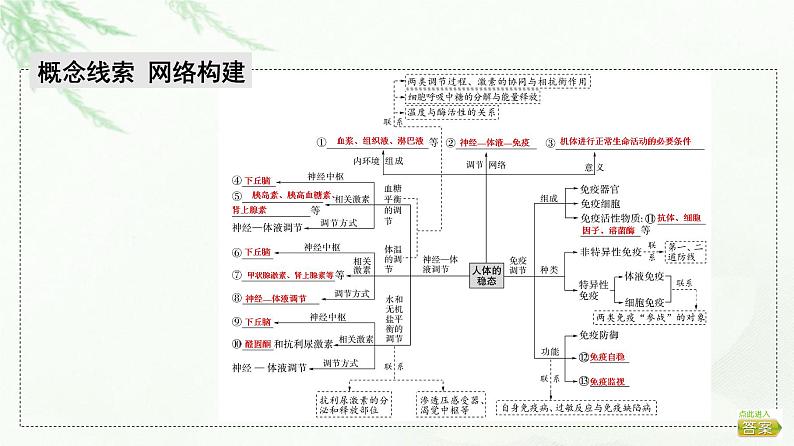 2023届高考生物二轮复习微专题2人体的稳态与免疫调节课件第2页