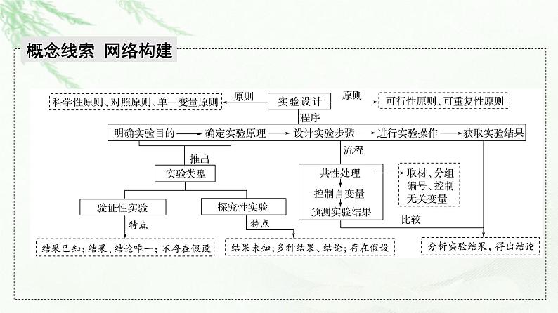 2023届高考生物二轮复习微专题2实验设计、分析与评价课件第2页