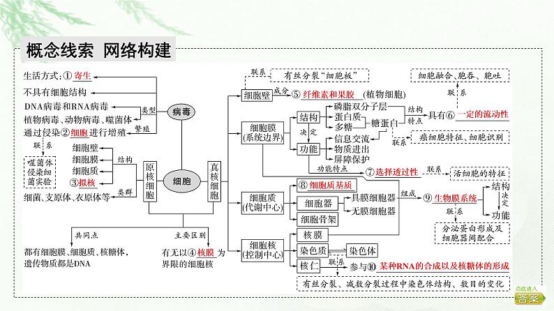 2023届高考生物二轮复习微专题2细胞的结构和功能课件02