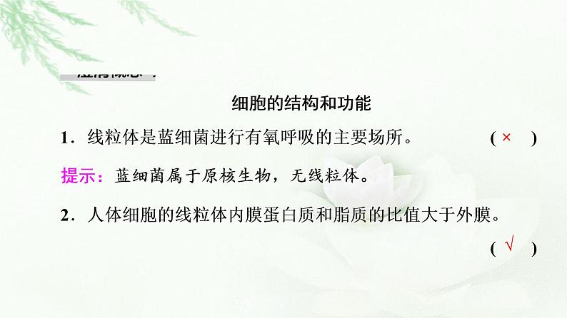 2023届高考生物二轮复习微专题2细胞的结构和功能课件03