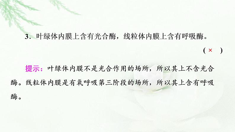 2023届高考生物二轮复习微专题2细胞的结构和功能课件04