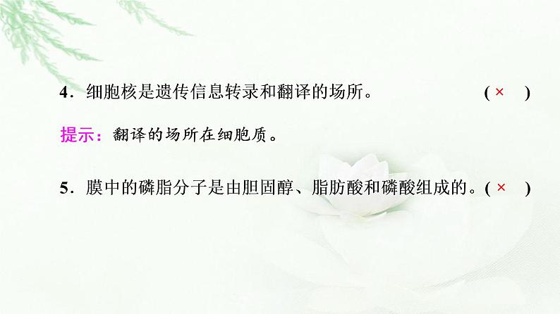 2023届高考生物二轮复习微专题2细胞的结构和功能课件05