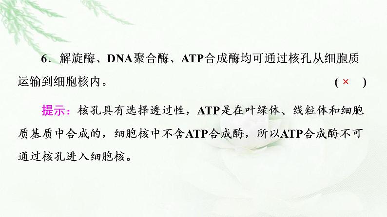 2023届高考生物二轮复习微专题2细胞的结构和功能课件06