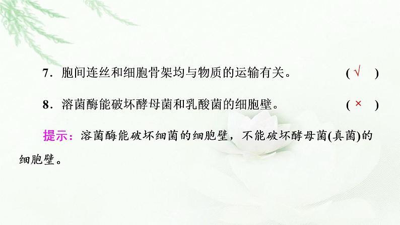 2023届高考生物二轮复习微专题2细胞的结构和功能课件07