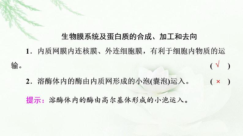 2023届高考生物二轮复习微专题2细胞的结构和功能课件08