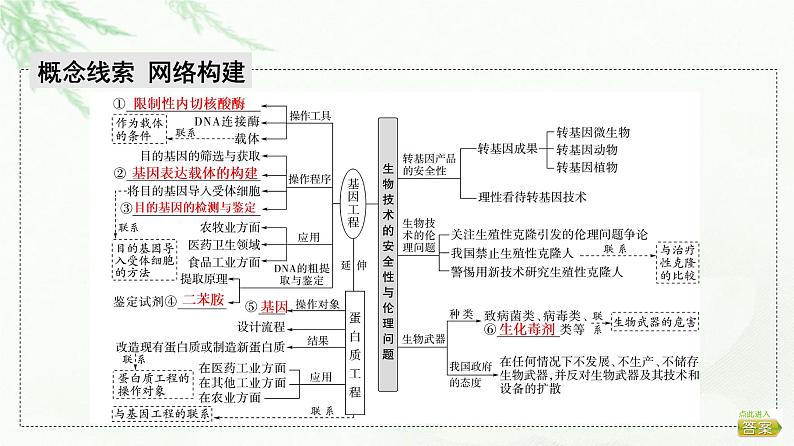 2023届高考生物二轮复习微专题3基因工程及生物技术的安全性与伦理问题课件02